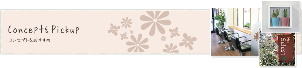 Concept&pickup コンセプト＆おすすめ